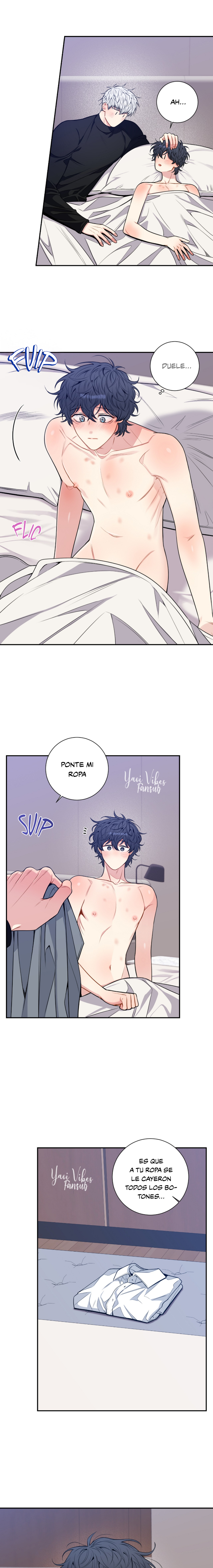 15 Flores de cerezo después del invierno T5