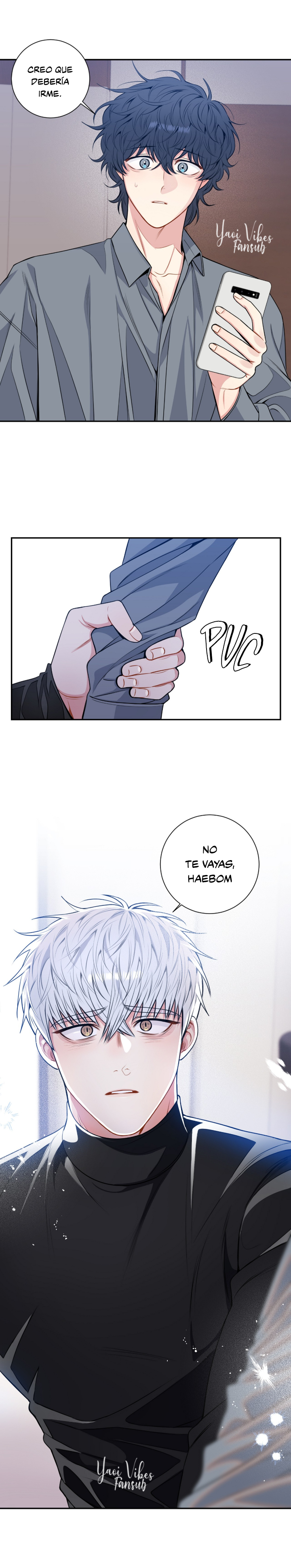 17 Flores de cerezo después del invierno T5