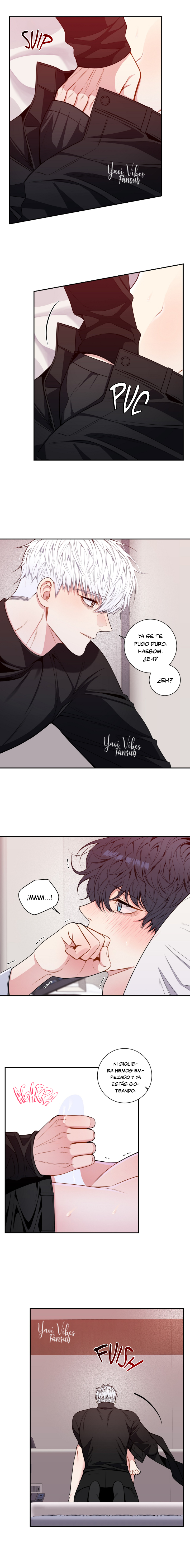 6 Flores de cerezo después del invierno T5