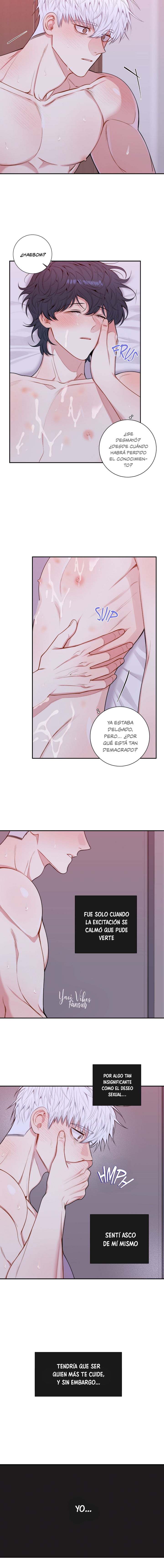 11 Flores de cerezo después del invierno T5