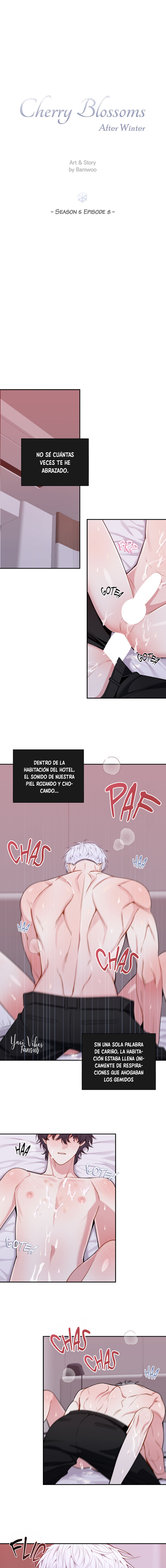 10 Flores de cerezo después del invierno T5