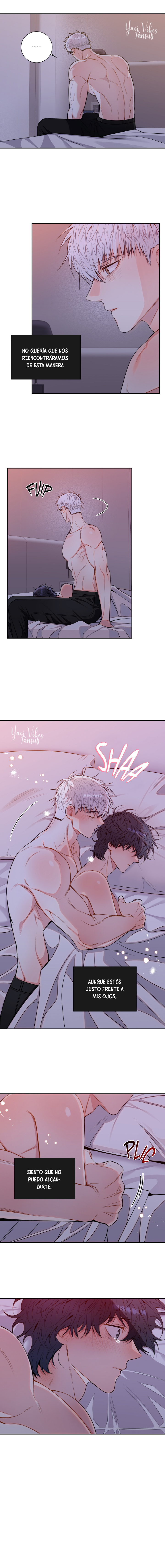 13 Flores de cerezo después del invierno T5