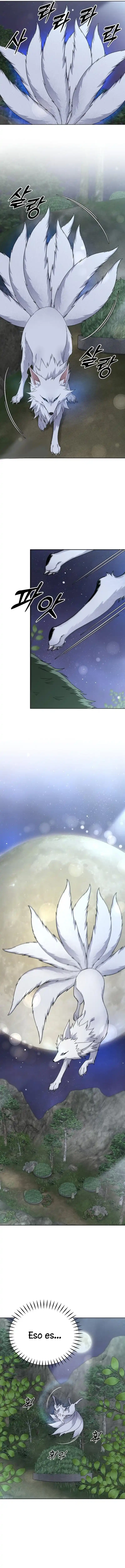 4 El Cuento del Zorro de Nueve Colas