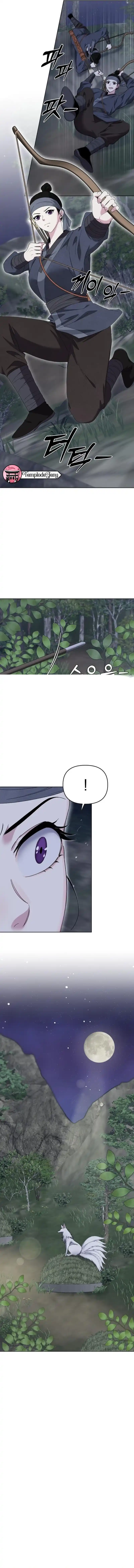 3 El Cuento del Zorro de Nueve Colas