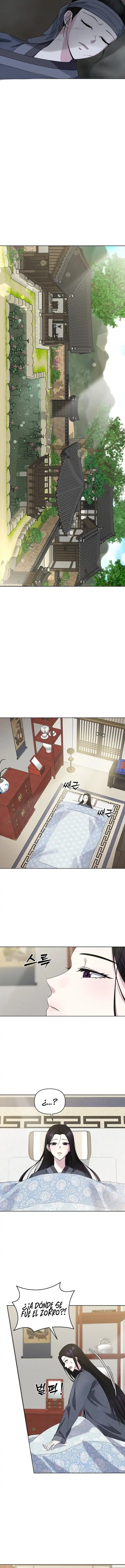 12 El Cuento del Zorro de Nueve Colas