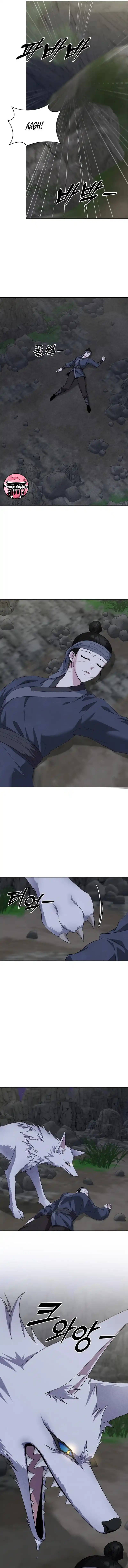 11 El Cuento del Zorro de Nueve Colas