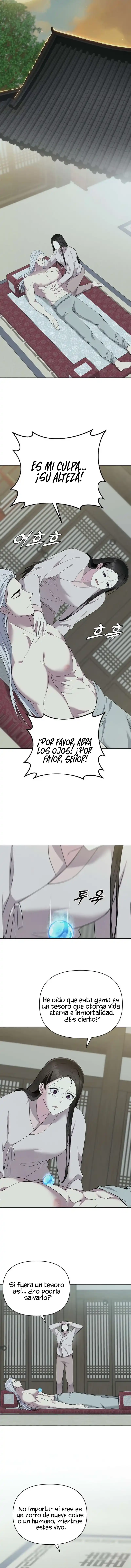 4 El Cuento del Zorro de Nueve Colas