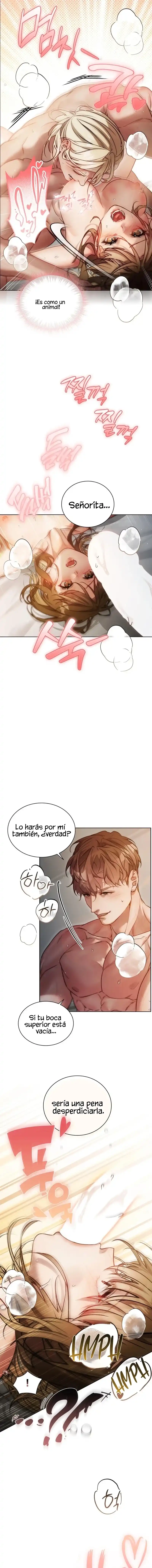 7 Servicio Especial de Mudanza