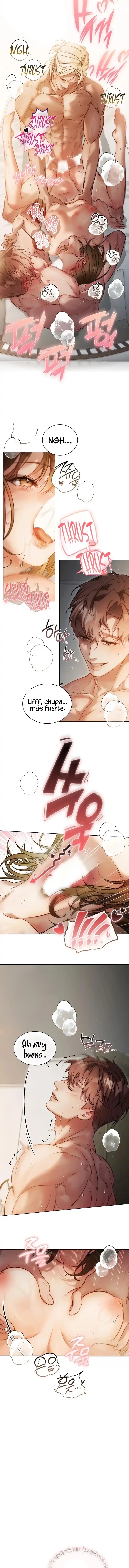 8 Servicio Especial de Mudanza