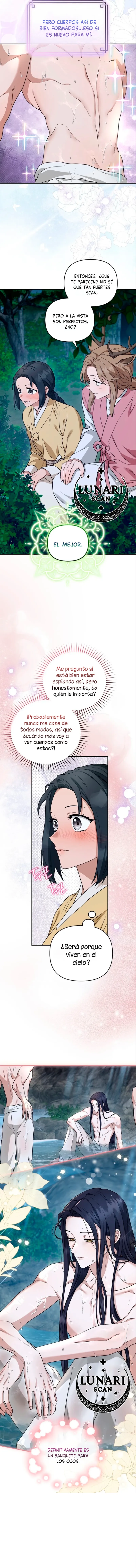 8 Asunto de la túnica alada