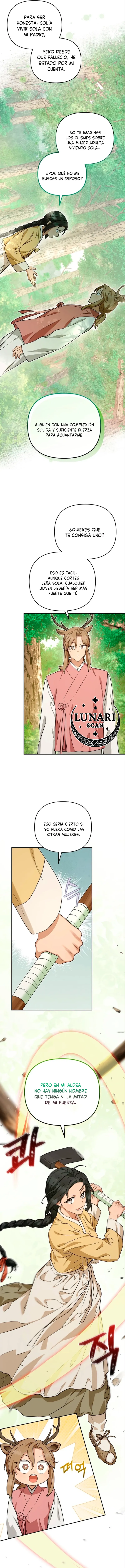 5 Asunto de la túnica alada