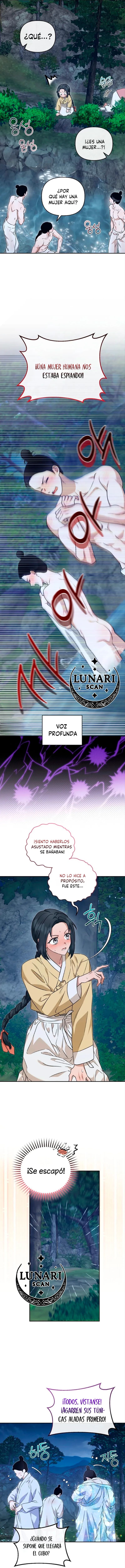 10 Asunto de la túnica alada