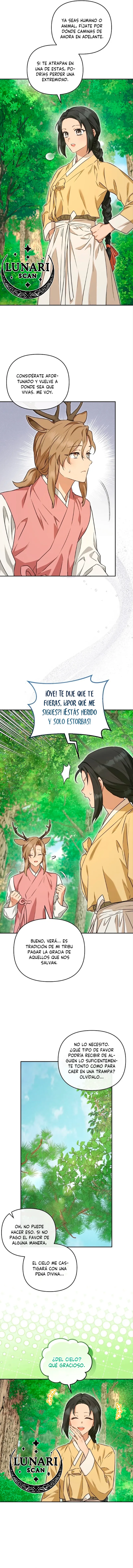 4 Asunto de la túnica alada