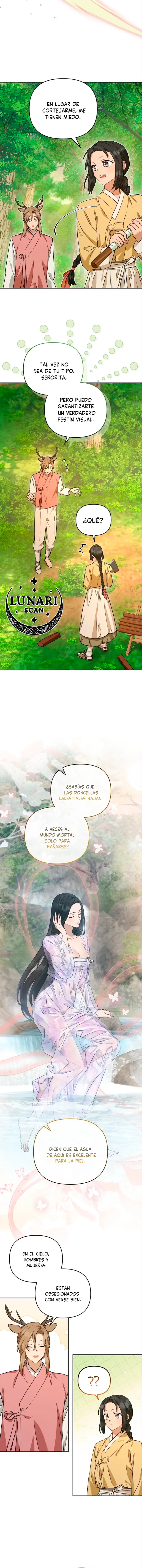 6 Asunto de la túnica alada