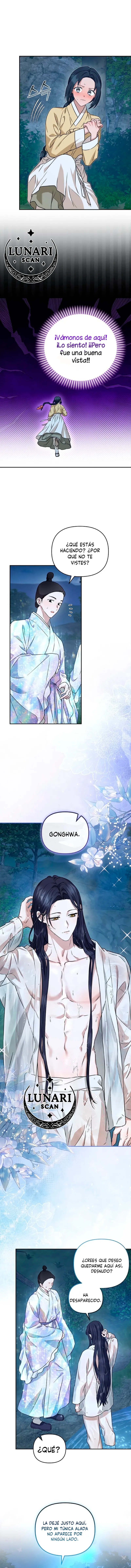 11 Asunto de la túnica alada