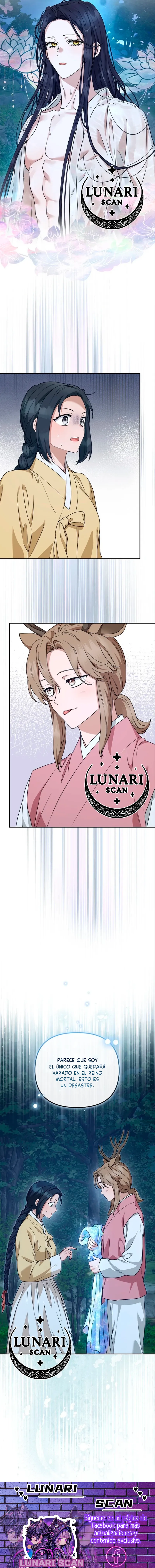 12 Asunto de la túnica alada