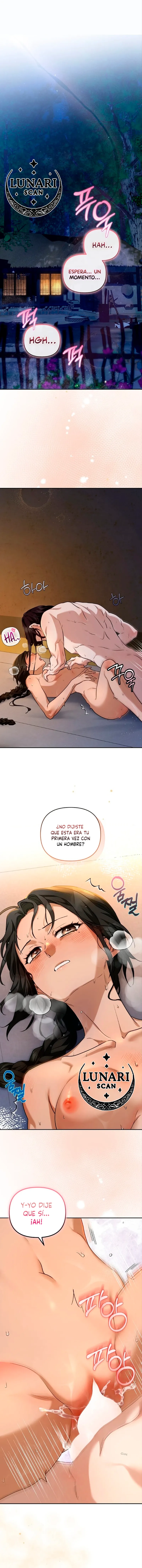 0 Asunto de la túnica alada