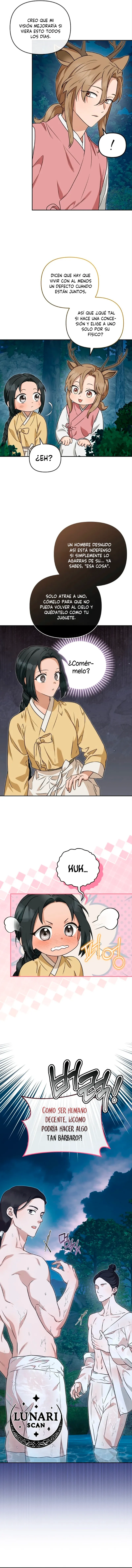 9 Asunto de la túnica alada