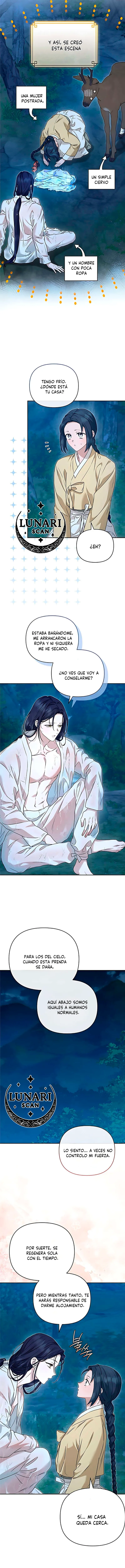 6 Asunto de la túnica alada