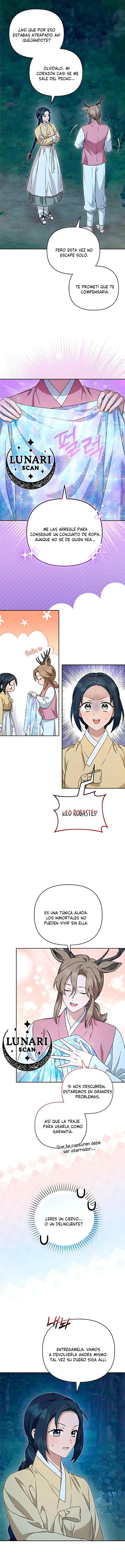 3 Asunto de la túnica alada