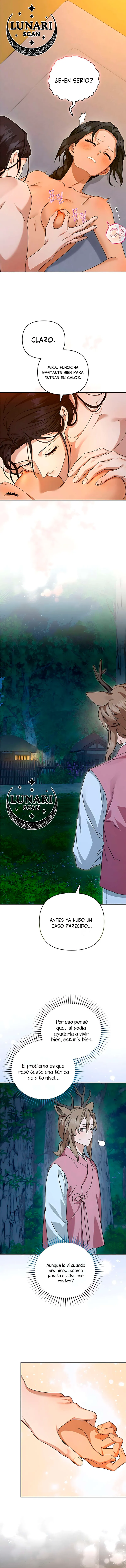 11 Asunto de la túnica alada