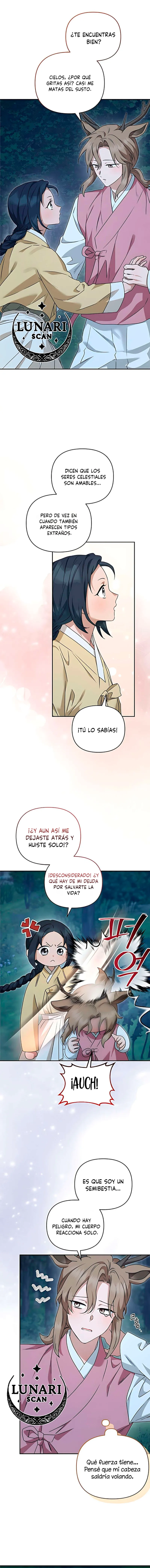 2 Asunto de la túnica alada