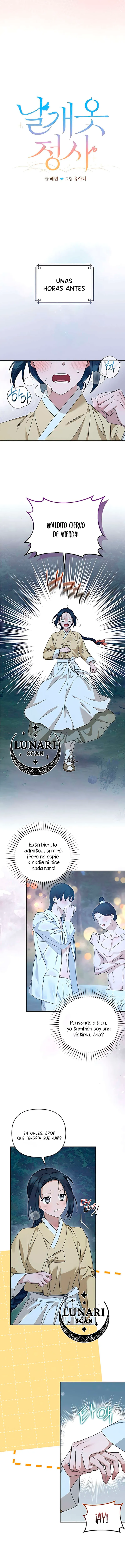 1 Asunto de la túnica alada