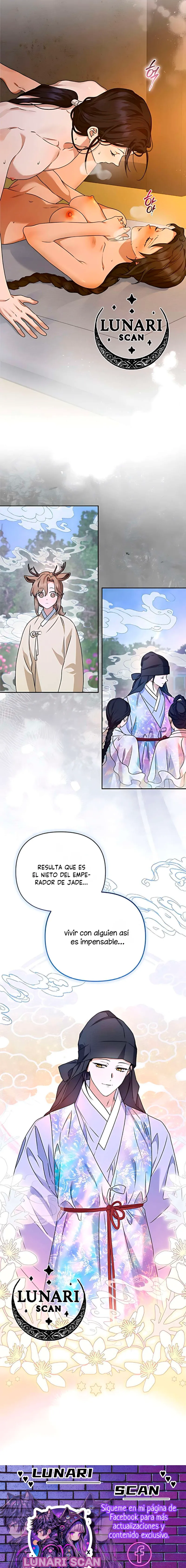 12 Asunto de la túnica alada