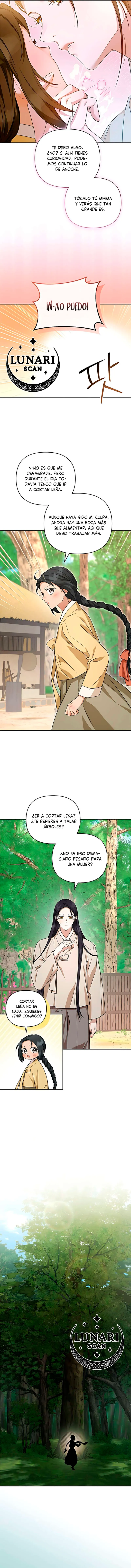 11 Asunto de la túnica alada