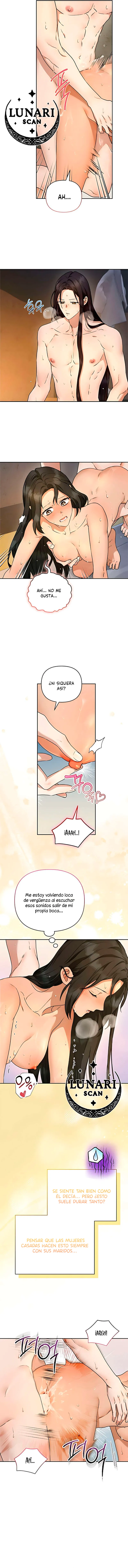 5 Asunto de la túnica alada