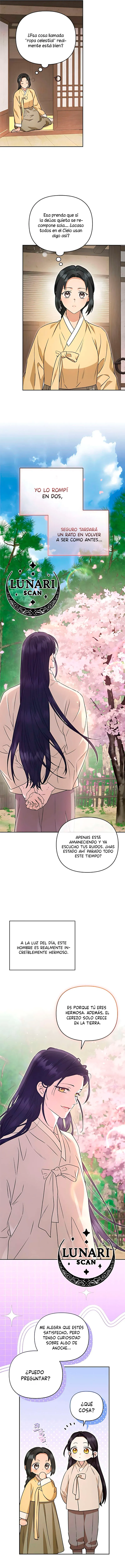 9 Asunto de la túnica alada