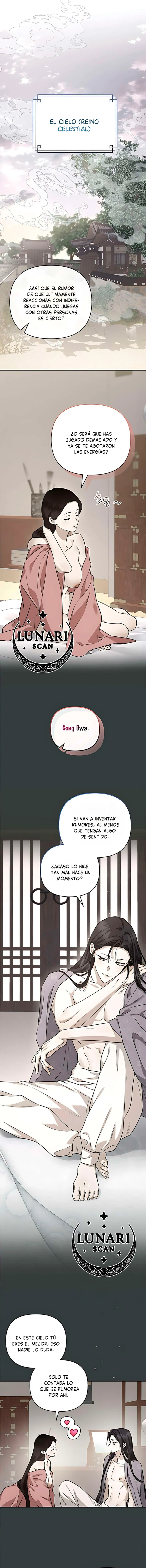 2 Asunto de la túnica alada