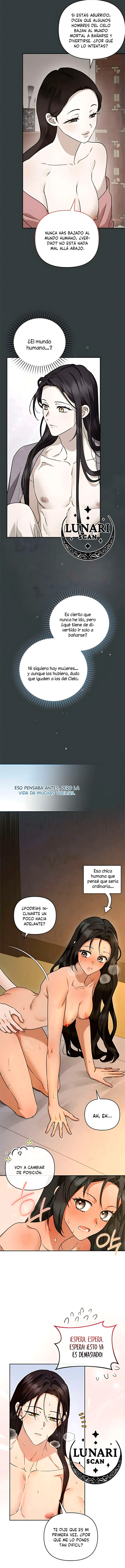 3 Asunto de la túnica alada