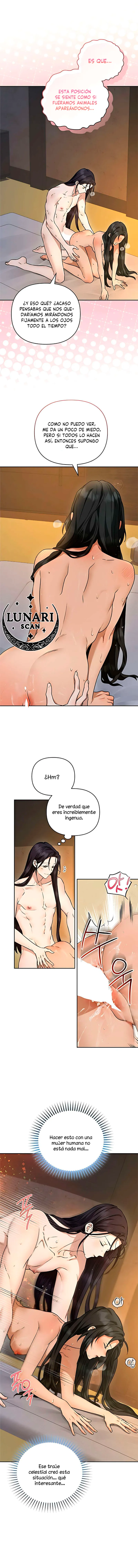 4 Asunto de la túnica alada