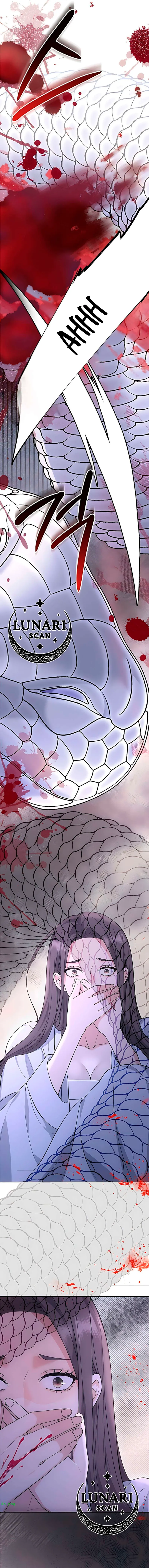 12 El invitado nocturno