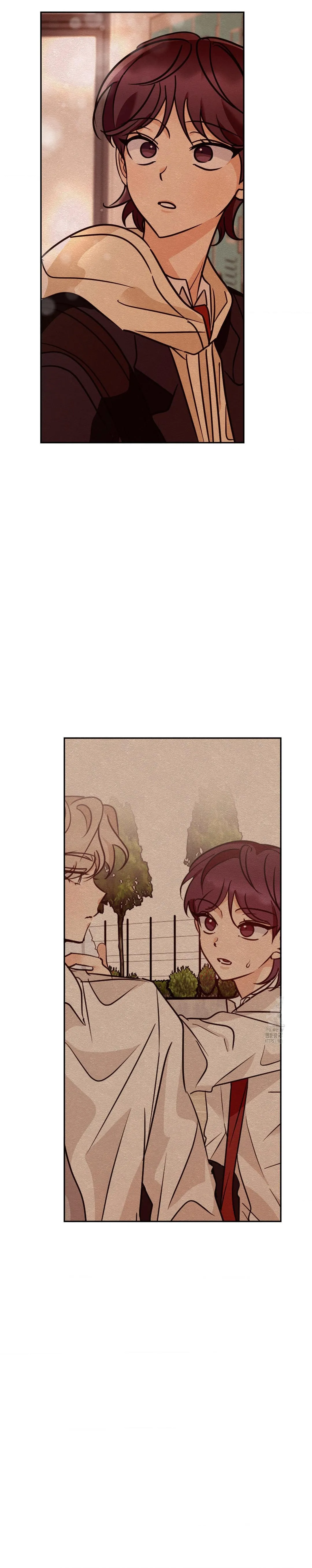 6 Amor no correspondido