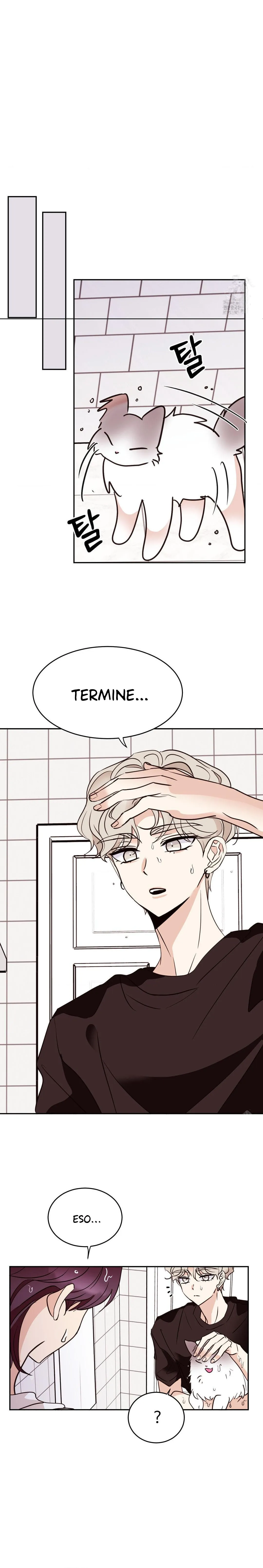 6 Amor no correspondido