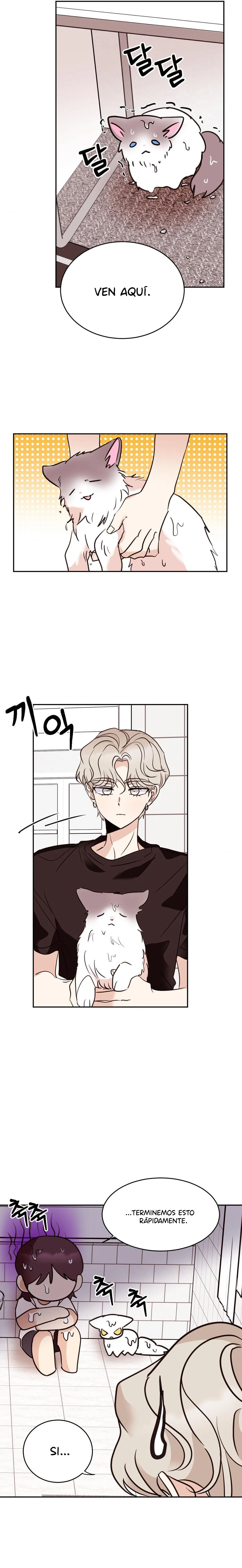 5 Amor no correspondido