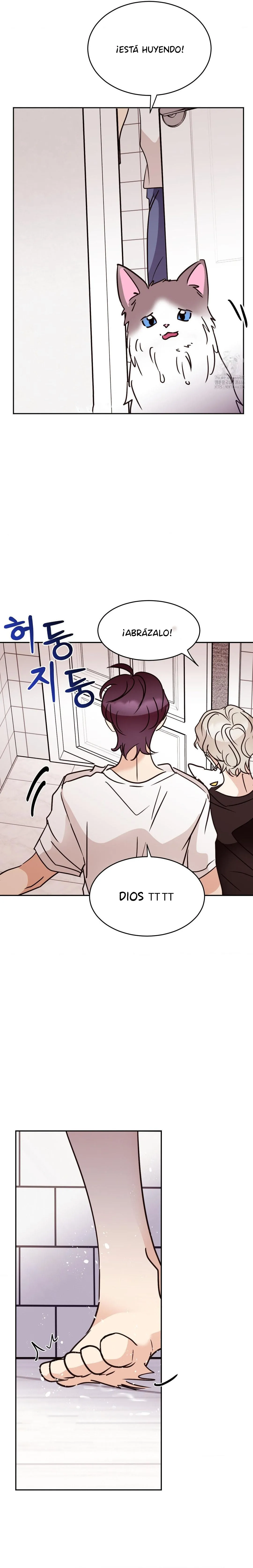 19 Amor no correspondido