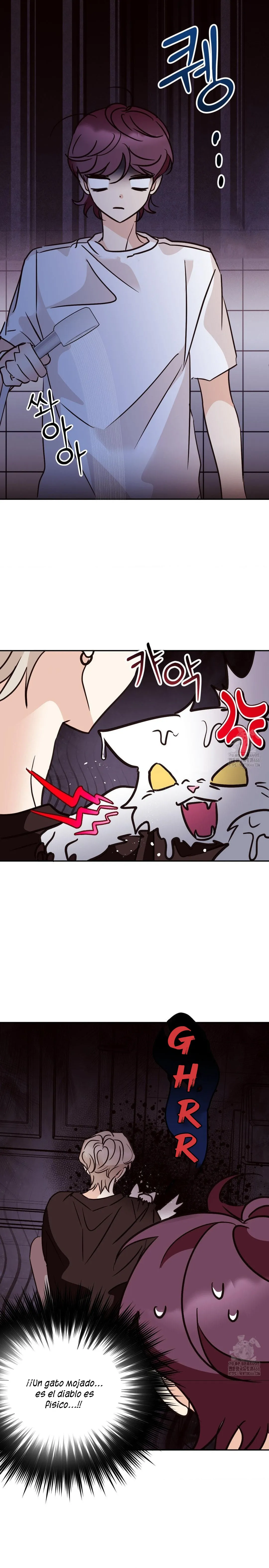 17 Amor no correspondido