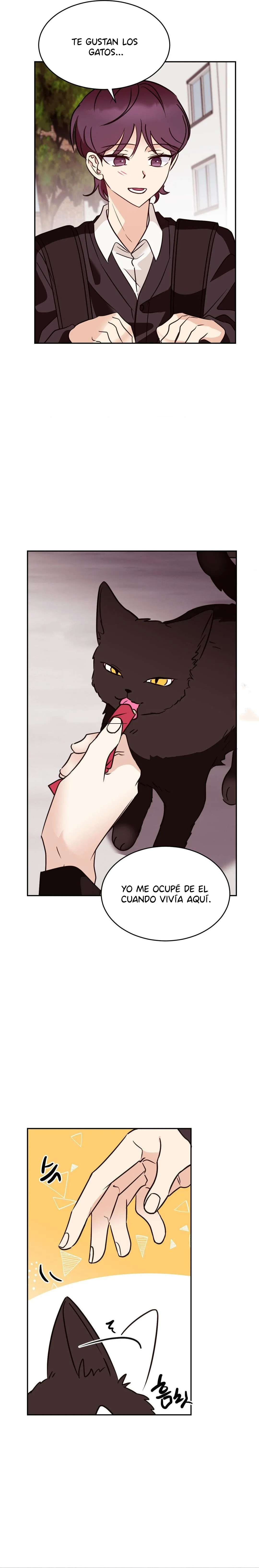 6 Amor no correspondido