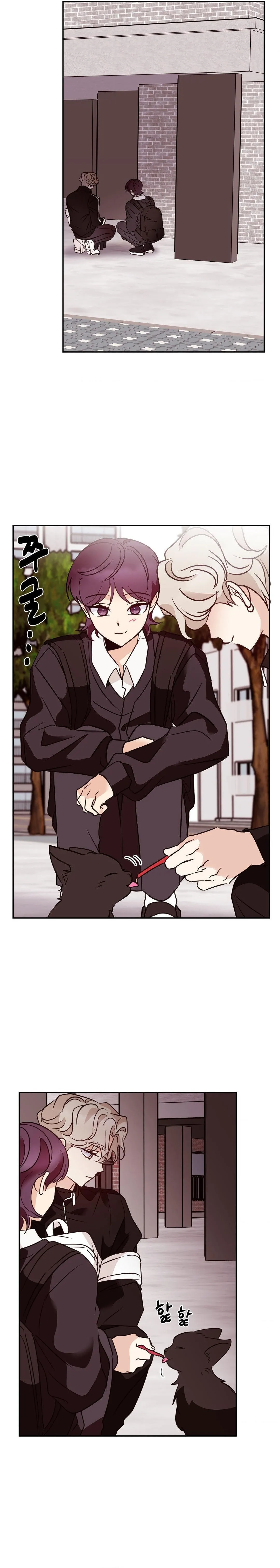 5 Amor no correspondido