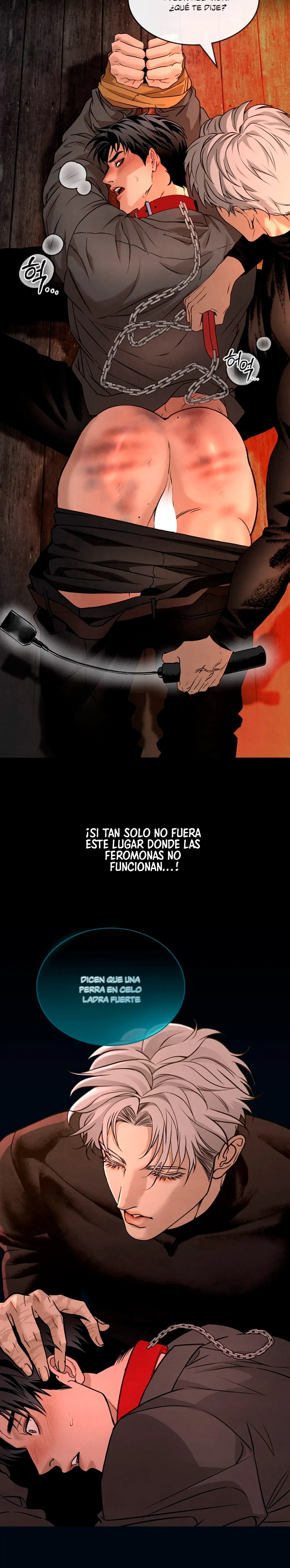 2 Domando al perro alfa