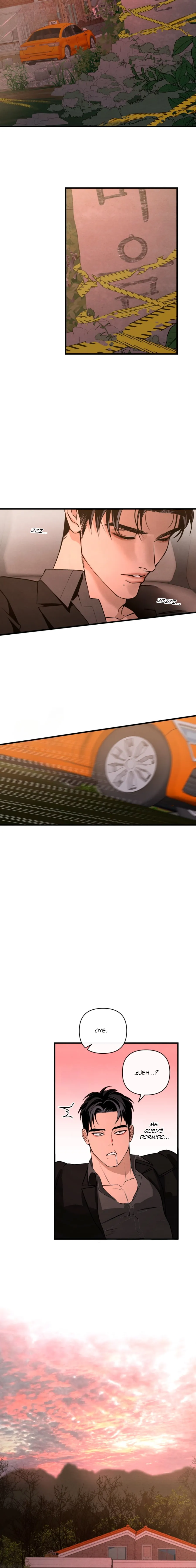 13 Domando al perro alfa