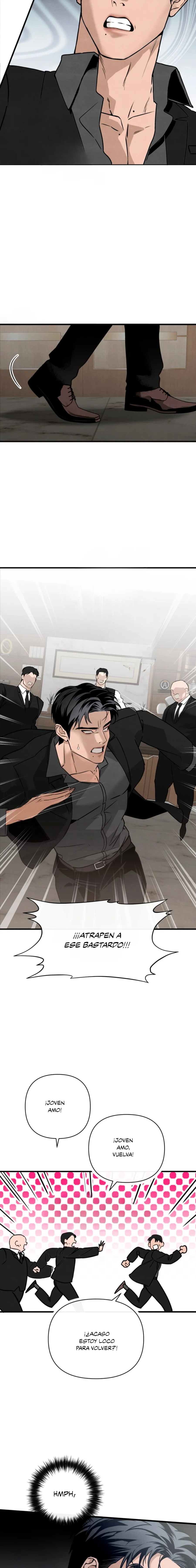 7 Domando al perro alfa