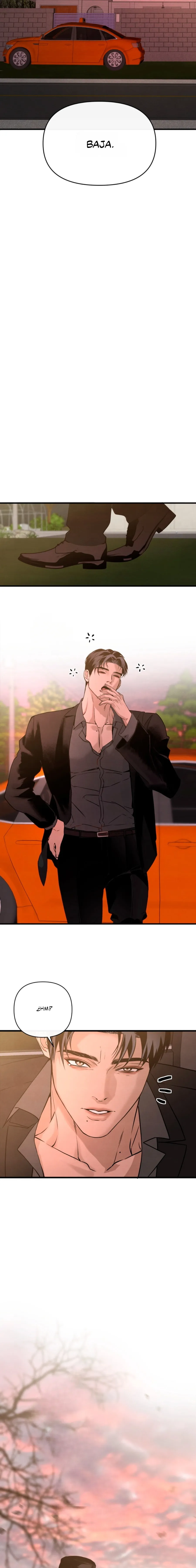 14 Domando al perro alfa