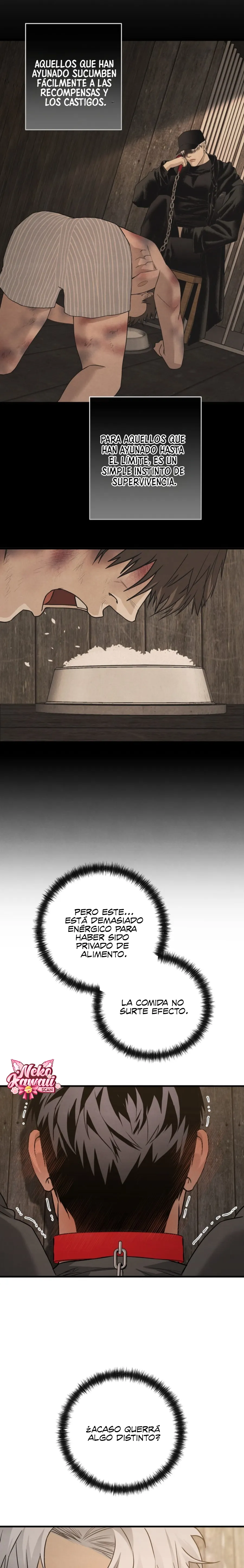 23 Domando al perro alfa