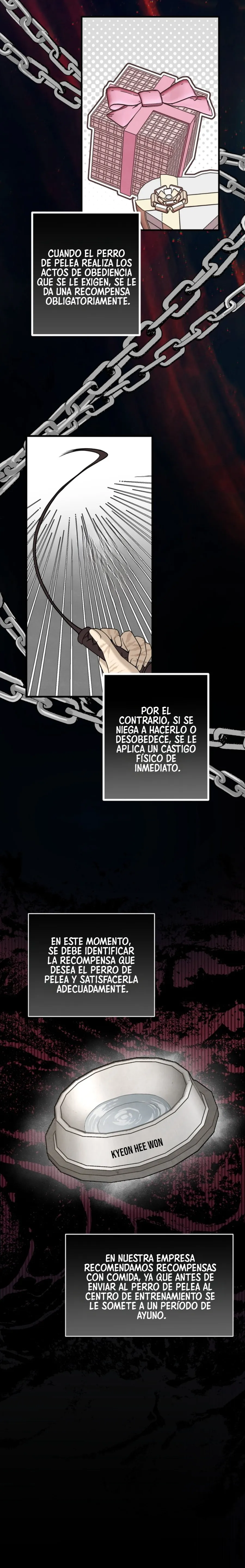 14 Domando al perro alfa