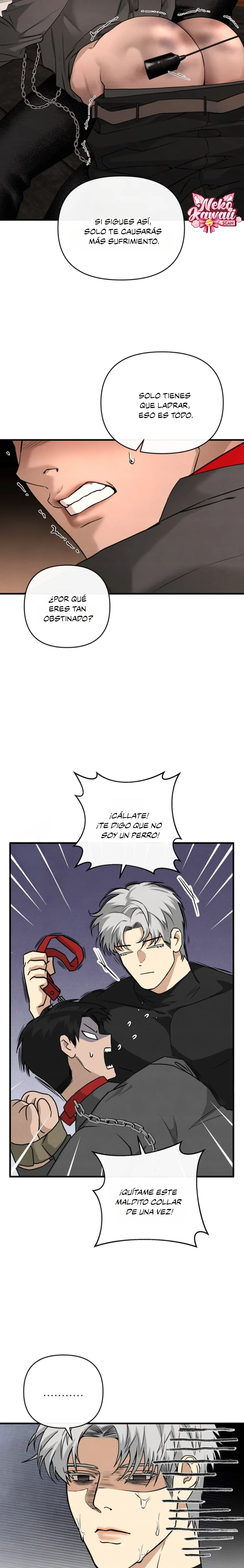 19 Domando al perro alfa