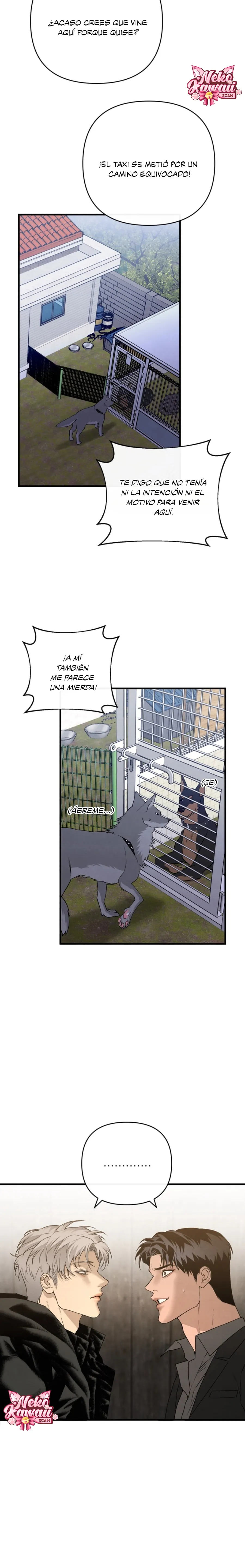 5 Domando al perro alfa